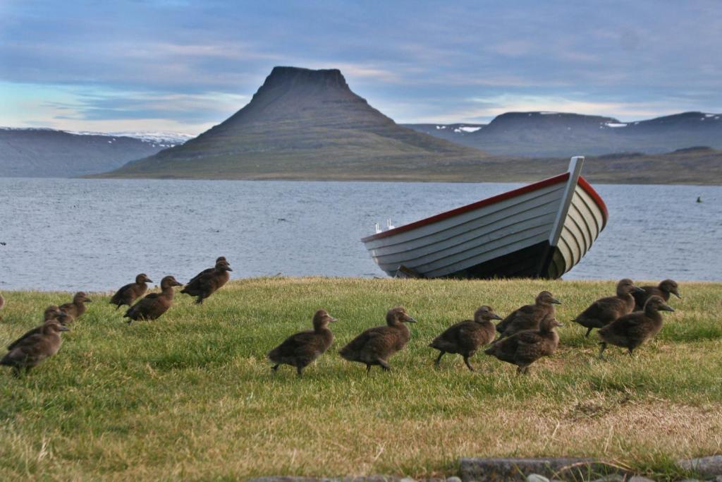 Hotel Isafjordur - Horn Luaran gambar